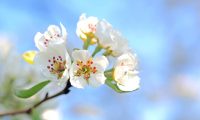 Spring Is In The Air
